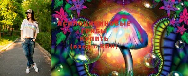 тгк Пестово